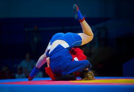 Самбо как вид спорта