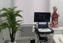 Обучение УЗИ суставов