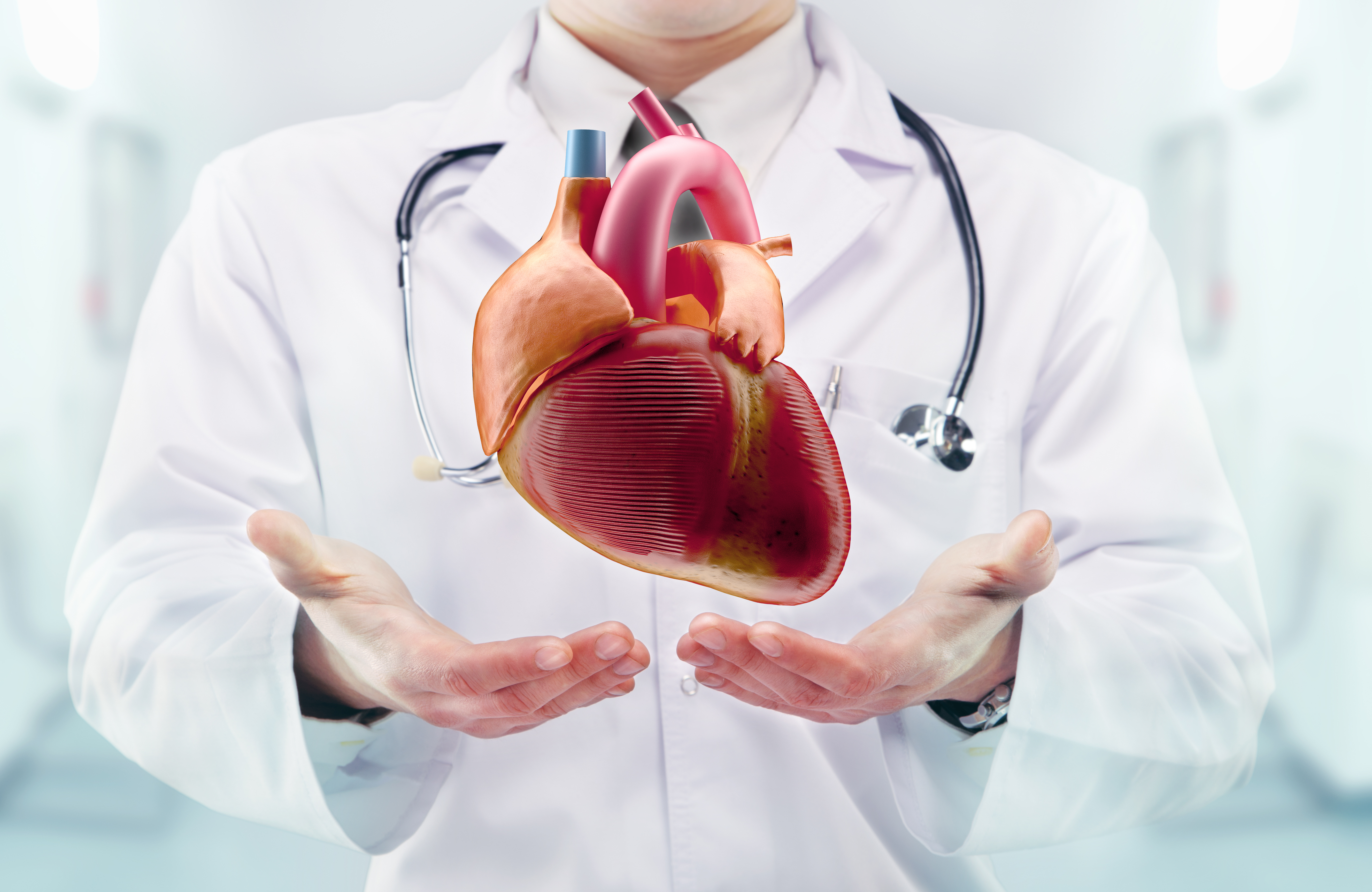 Сердце человека и доктор. Сердце медицина. Сердечно-сосудистые заболевания. Здоровое сердце. Сердце кардиология.