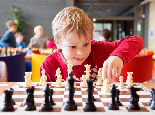 Методика обучения игре в шахматы в условиях реализации ФГОС