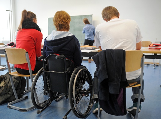 Организационно-педагогическое сопровождение обучения вождению лиц с ОВЗ и инвалидов